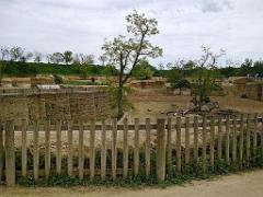 149 BIO PARC DE DOUE LA FONTAINE 4- 2016_000008